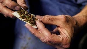 cannabis1